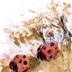 Ballade des coccinelles